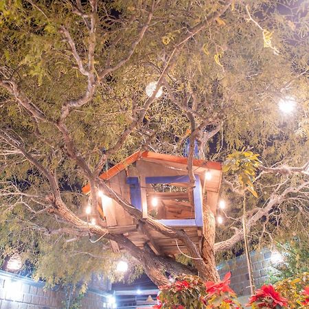 Hotel Casa Del Arbol Bernal Ngoại thất bức ảnh
