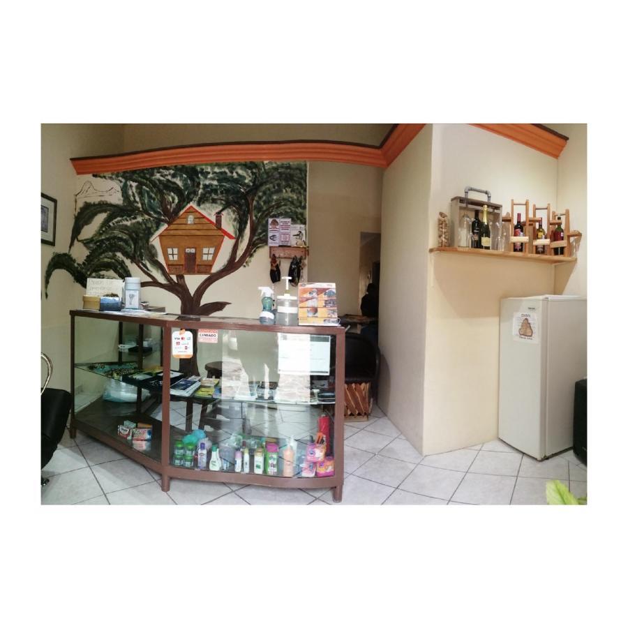 Hotel Casa Del Arbol Bernal Ngoại thất bức ảnh