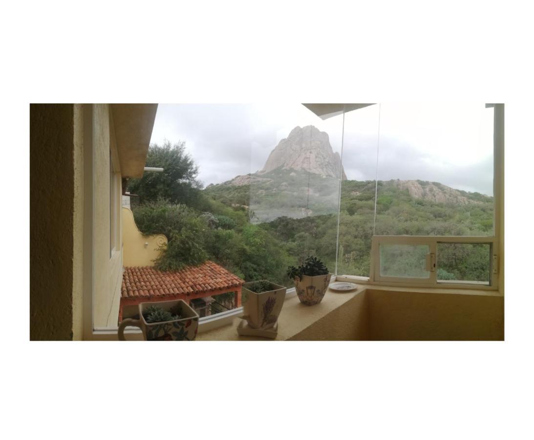 Hotel Casa Del Arbol Bernal Ngoại thất bức ảnh