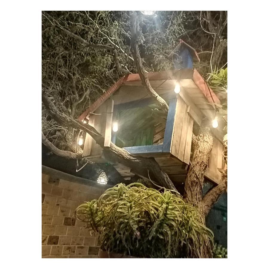 Hotel Casa Del Arbol Bernal Ngoại thất bức ảnh