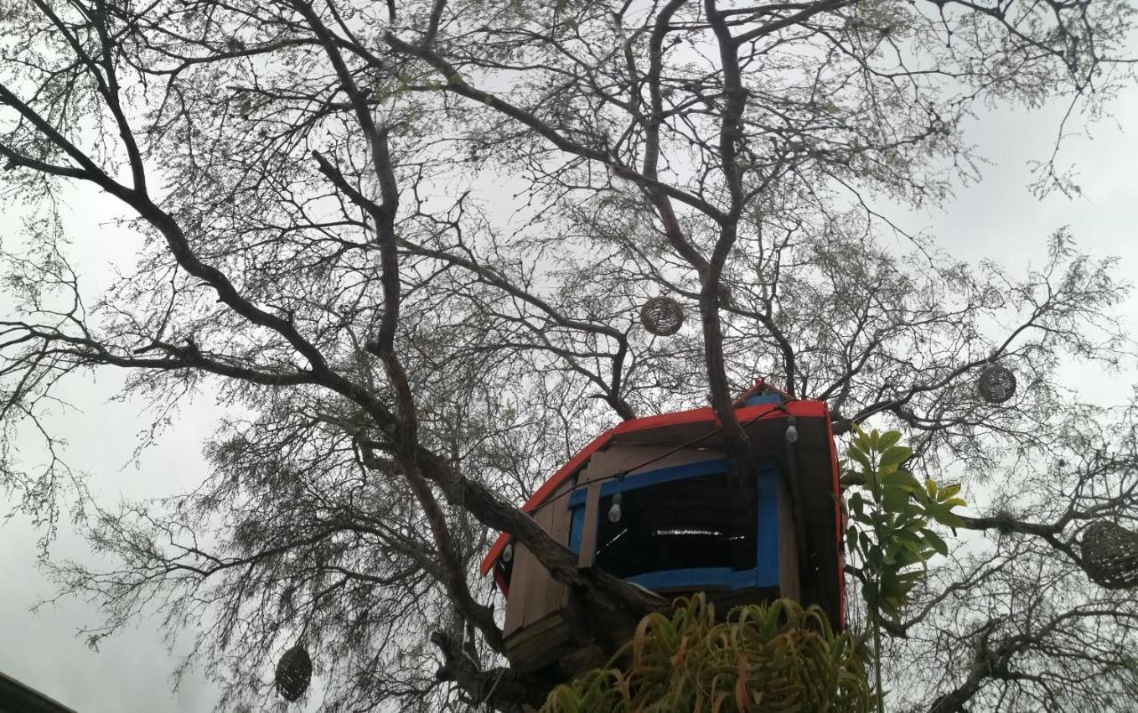 Hotel Casa Del Arbol Bernal Ngoại thất bức ảnh