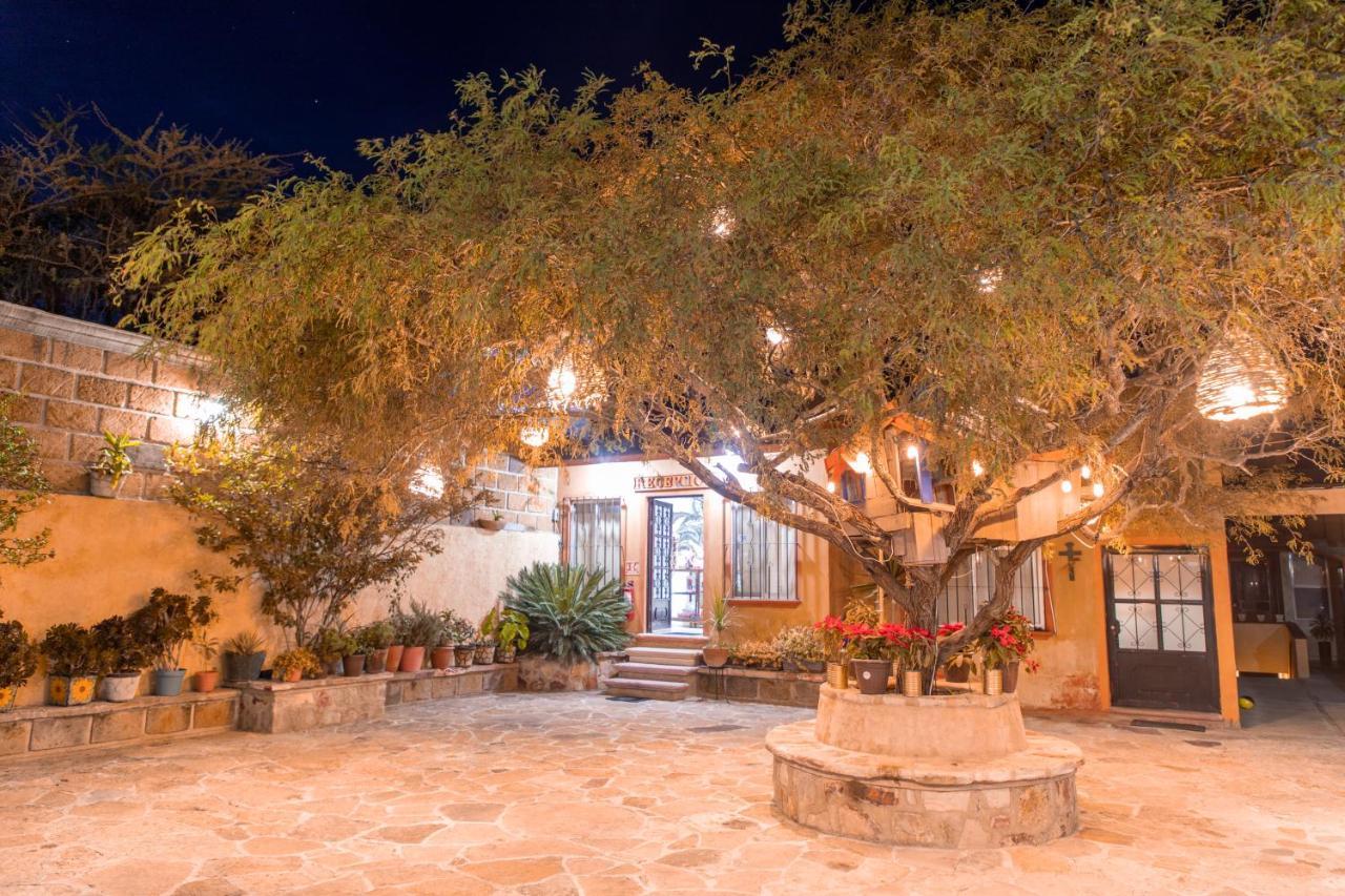 Hotel Casa Del Arbol Bernal Ngoại thất bức ảnh