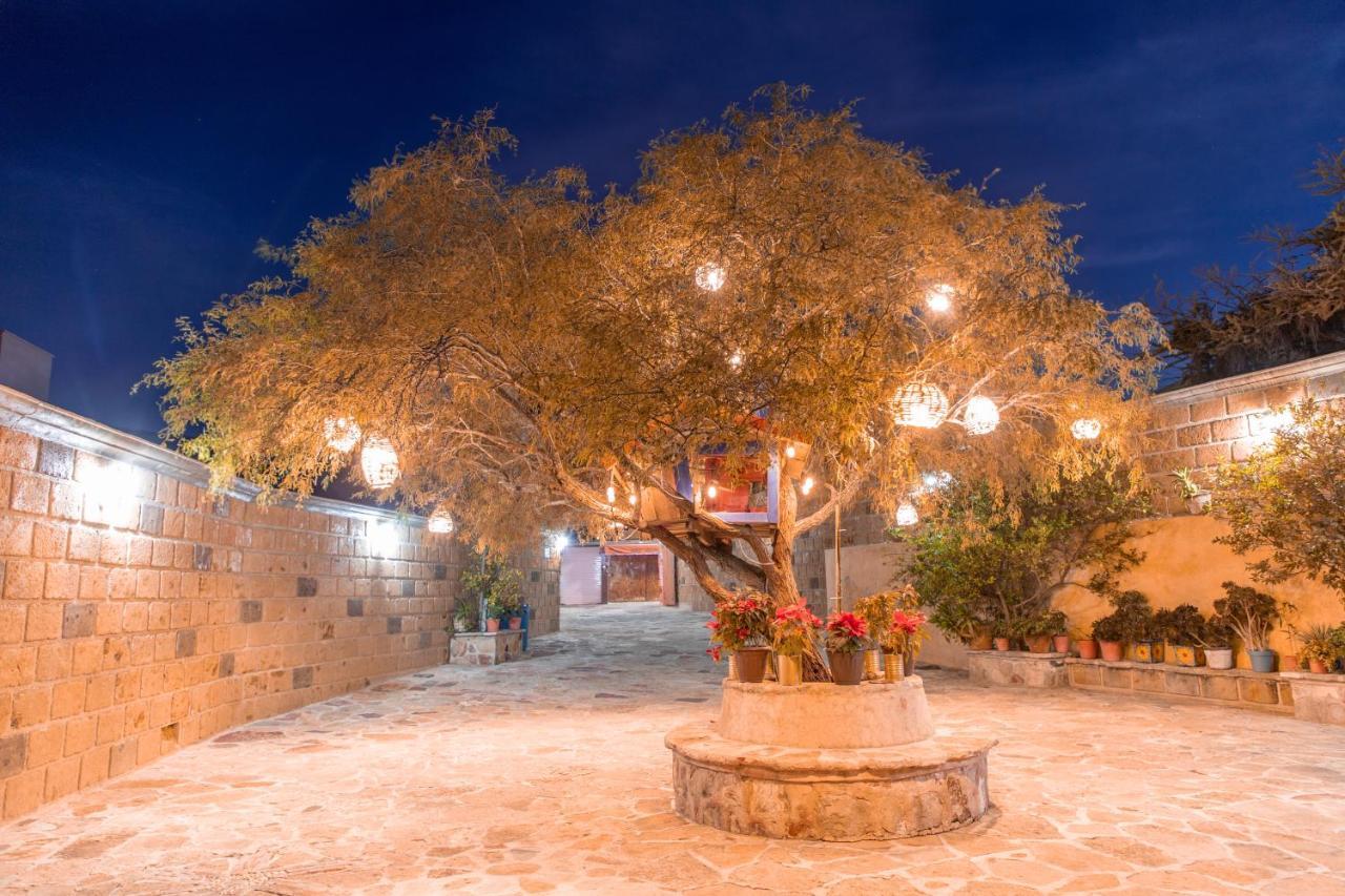Hotel Casa Del Arbol Bernal Ngoại thất bức ảnh
