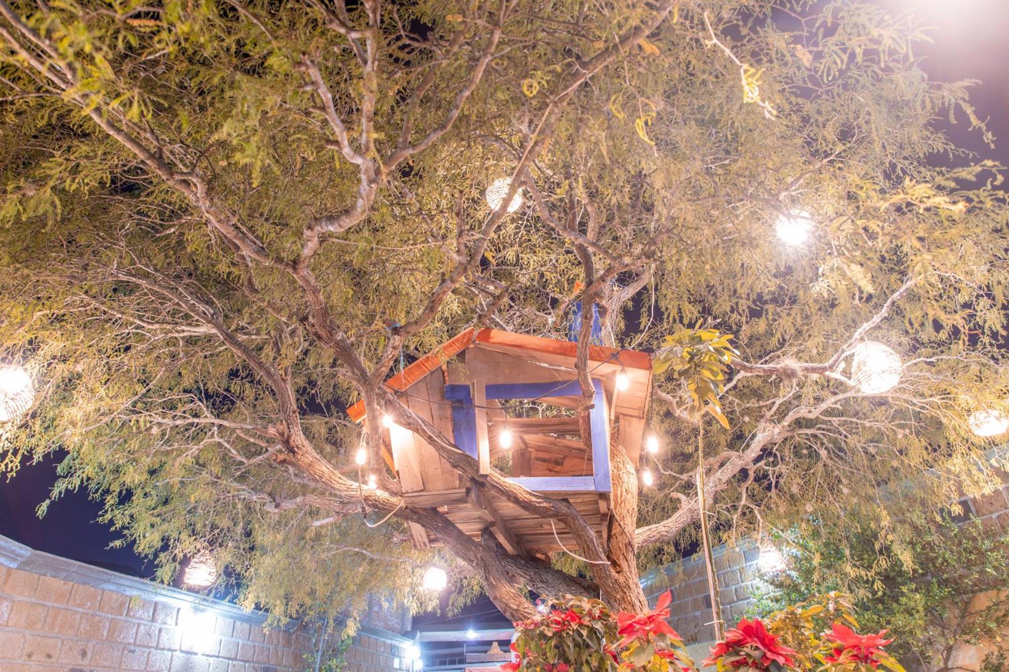 Hotel Casa Del Arbol Bernal Ngoại thất bức ảnh