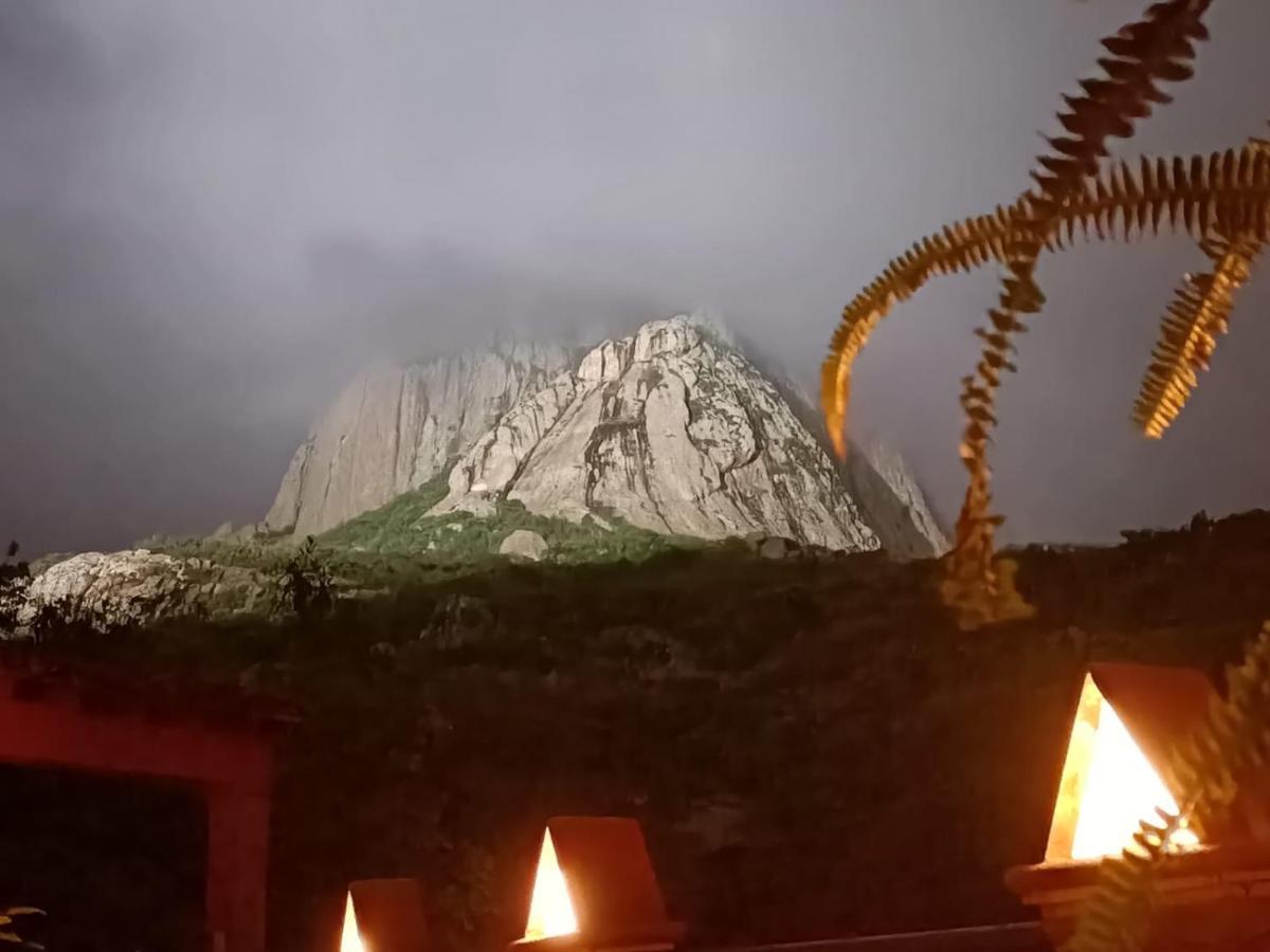 Hotel Casa Del Arbol Bernal Ngoại thất bức ảnh