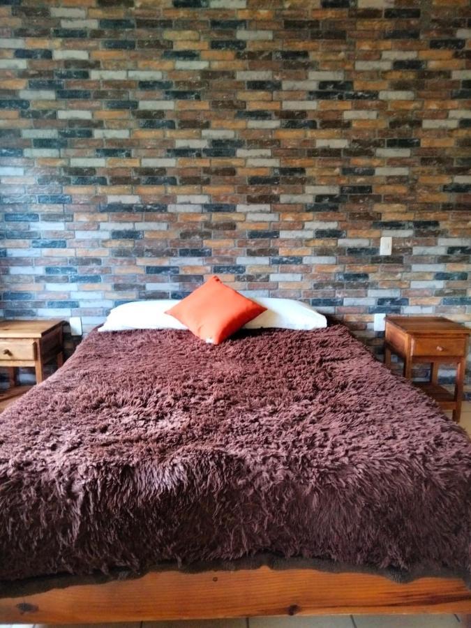 Hotel Casa Del Arbol Bernal Ngoại thất bức ảnh
